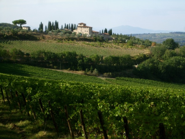 tuscan vineyards