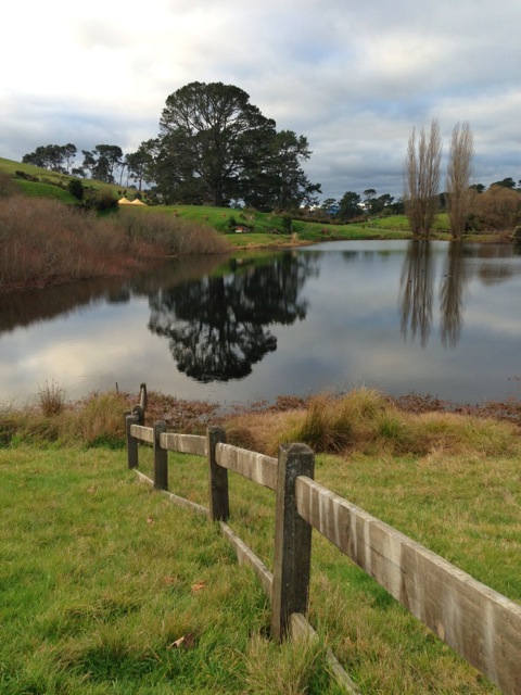 by water and the party tree and tents