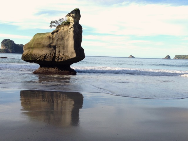 cathedral cove reflections