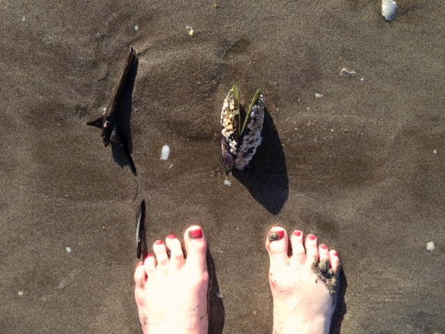 grounding with water earth and green mussel