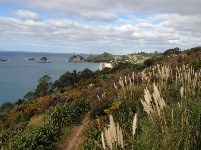 hahei beach and islands view