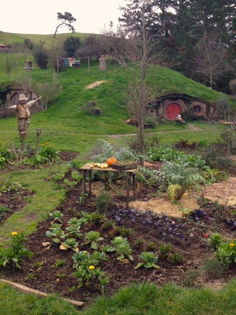 the vegetable patch