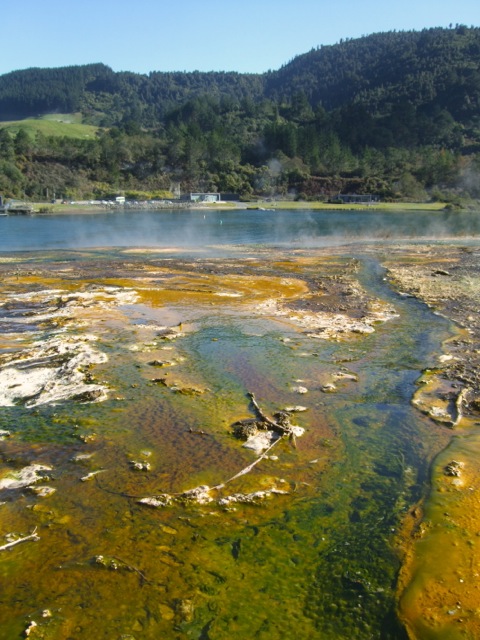 algae and steam off thermal water