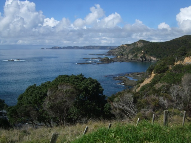 bay of islands