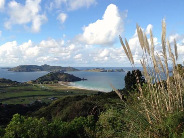 bay of plenty north island