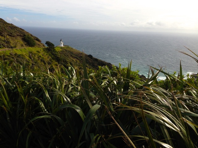 cape reinga lighthouse and pacific ocean
