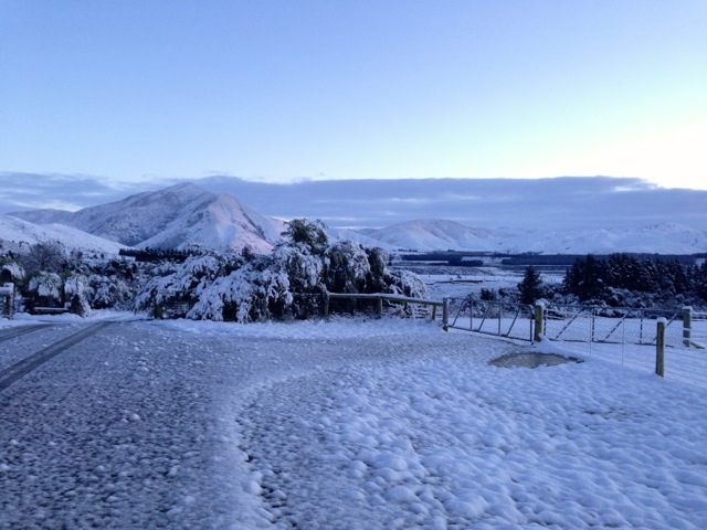 and then it snowed at peel forest