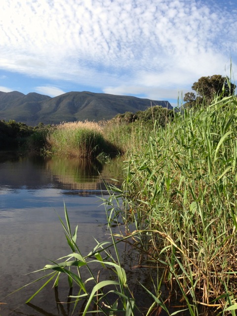 down by the klein river