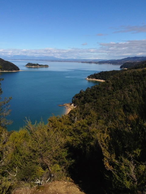 hiking and sailing in abel tasman national park