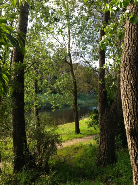 klein river walk