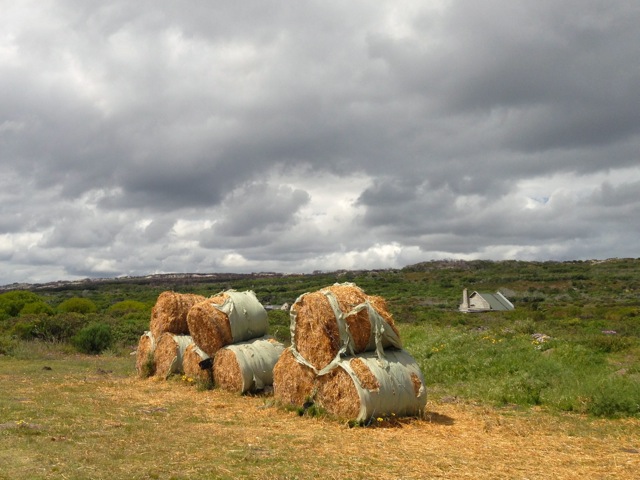 make hay while the sun shines