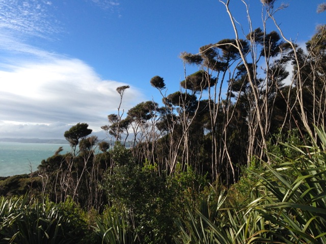 raglan coastal views