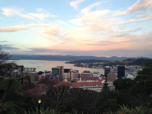 wellington sunset from the gardens