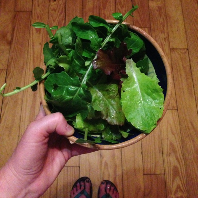 fresh homegrown garden salad