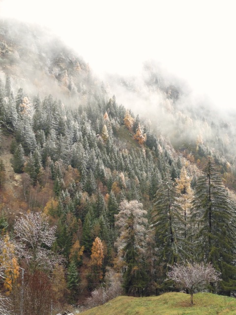 fresh snow in autumn