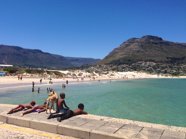 enjoying the sun in hout bay