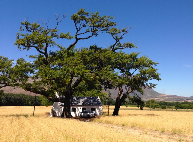 franschhoek farm