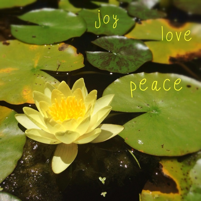 joy love peace