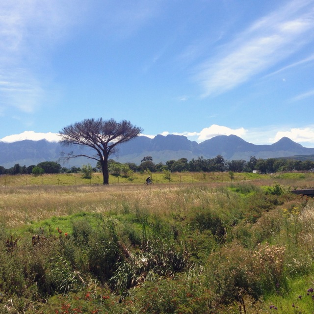 under african skies