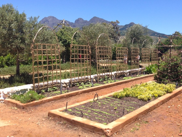 babylonstoren organic garden walk