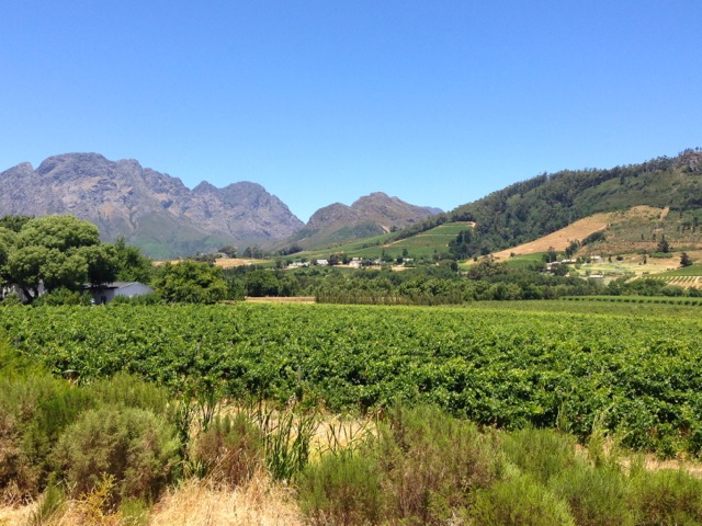 franschhoek wine area