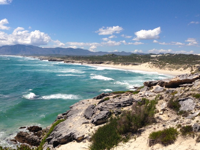 gansbaai coastal walk