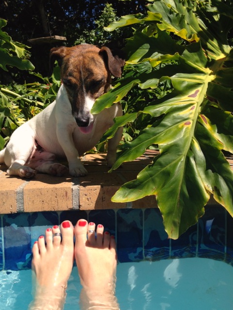 water energy and leo love in my sisters pool