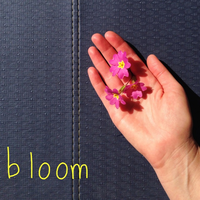 bloom