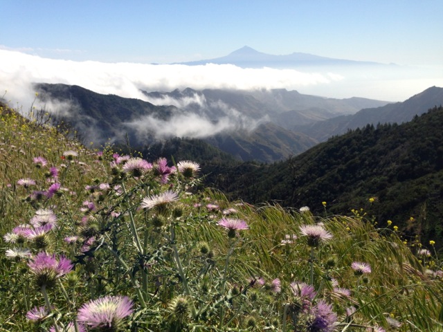 spring across the valleys and clouds to tenerife