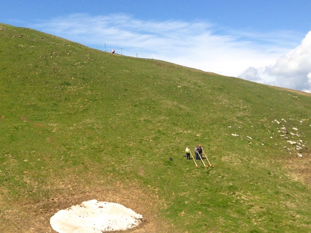 in a swiss meadow (alphorns)