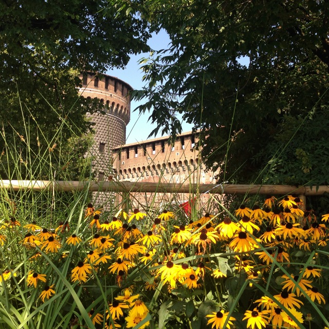 castello sforzesco