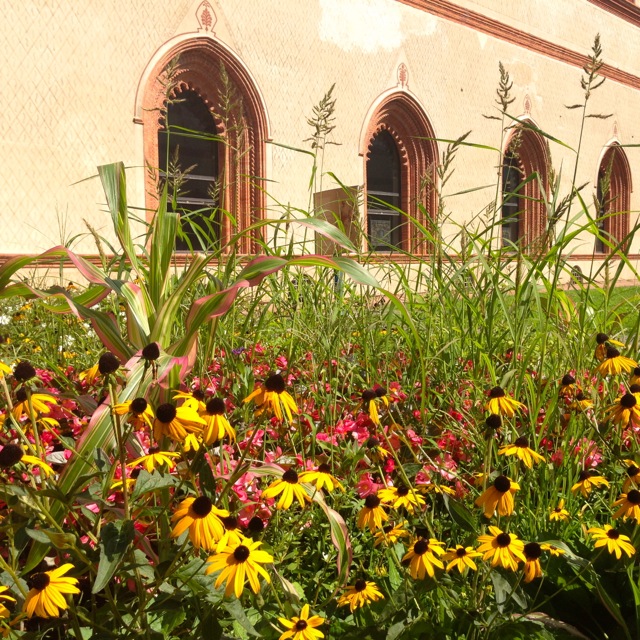 floral windows