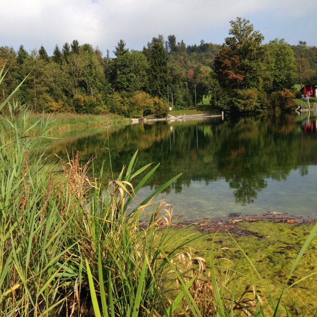 autumn at the hedingen weiher