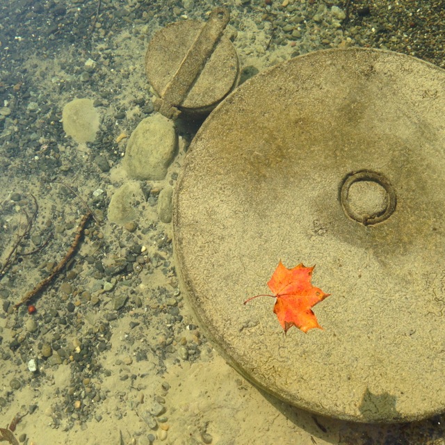 floating leaf water art