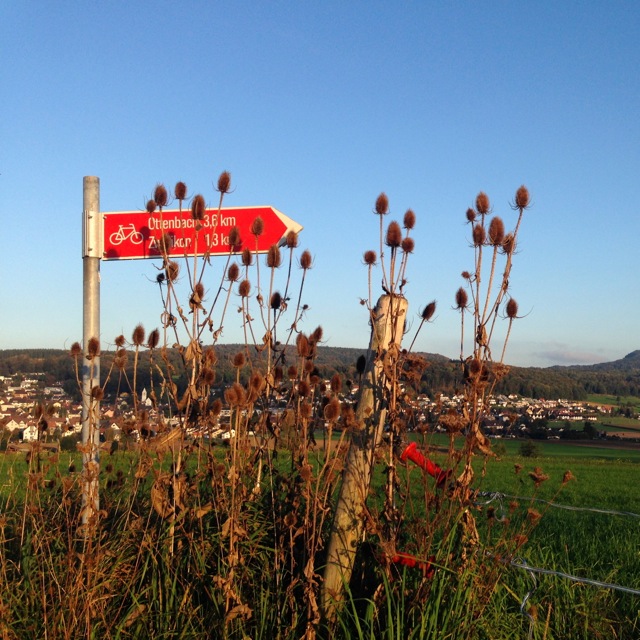 follow the seasonal signs