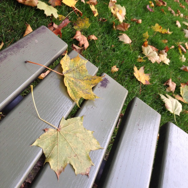 sharing my bench with me in zurich