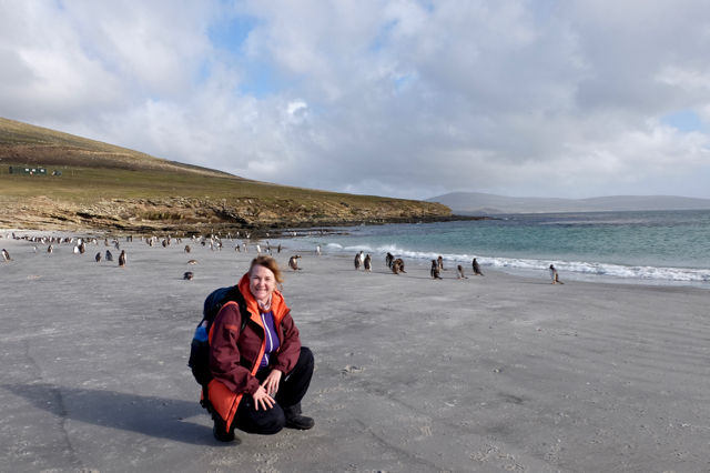 just chilling on the beach with a couple of gentoo penguins