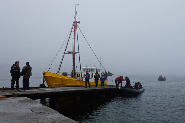 first dry zodiac landing at Carcass Island in the The Falklands