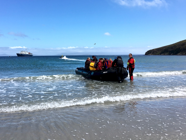 first wet zodiac landing at Saunders Island in the The Falklands