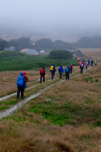 rainy day hike on Carcass Island