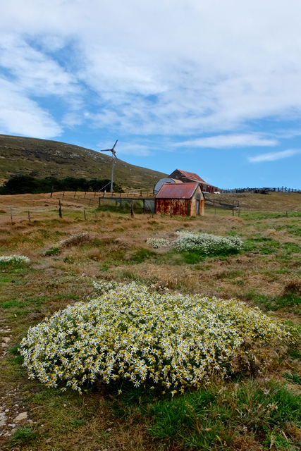 sheds belonging to the one family living on Carcass Island