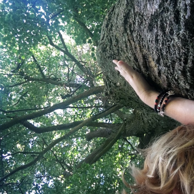 treehugger