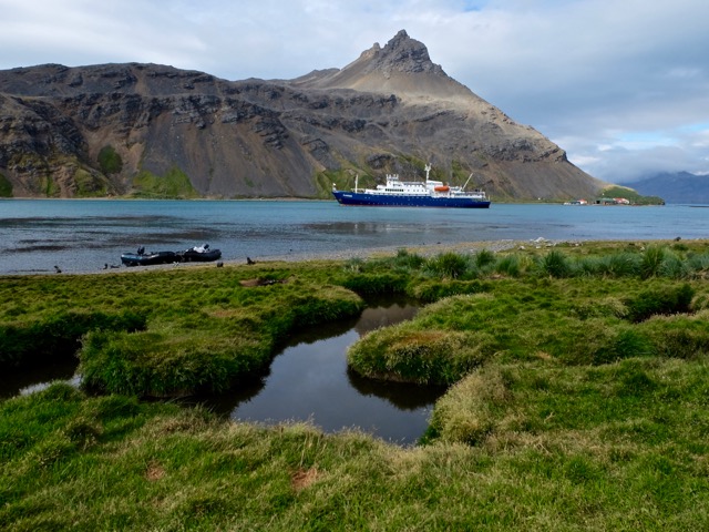 Plancius and the view across the bay at Grytviken