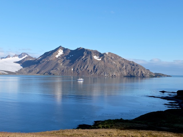 Plancius leaving Fortuna Bay after dropping us off to start our Shackleton hike