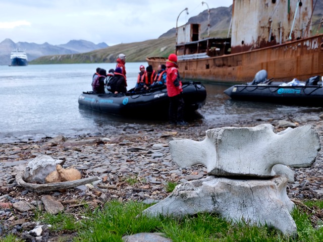 boarding zodiacs at Grytviken to return to Plancius for a braai and party onboard