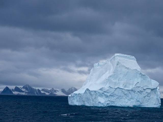 more icebergs on our way to Antarctica