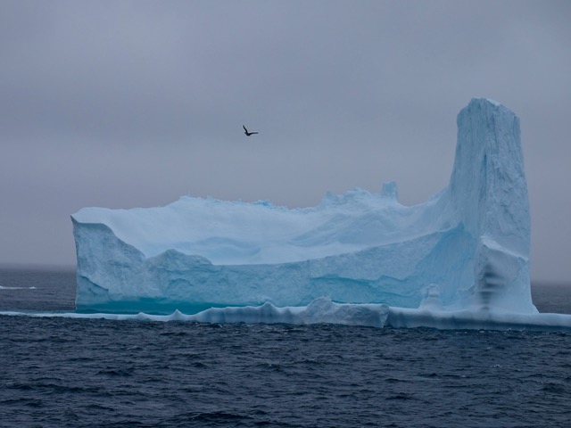 first icebergs on the way to the South Orkney Islands