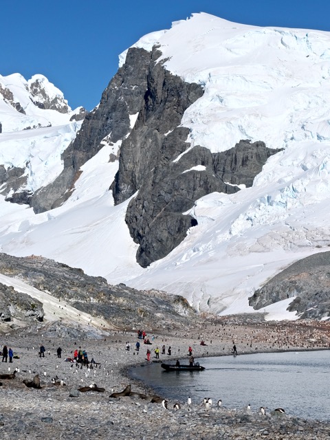 Cuverville Island Antarctica