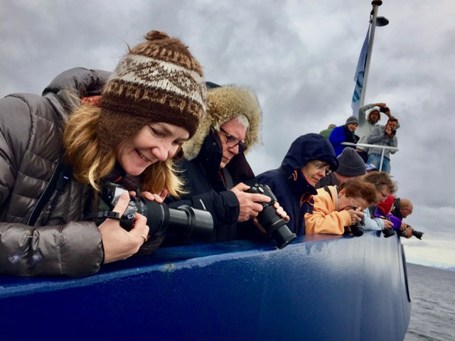 pure joy watching the pod of dolphins riding the bow (pc : J de Leeuw)