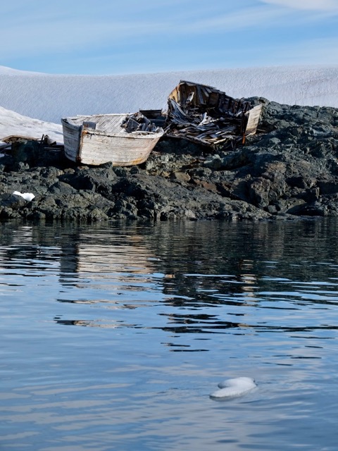 wooden flensing boat wrecks at Foyn Harbor